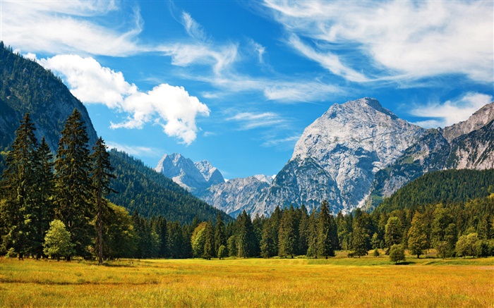 Alpen, Herbst, blauer Himmel, Wolken, Wald, Gras Hintergrundbilder Bilder