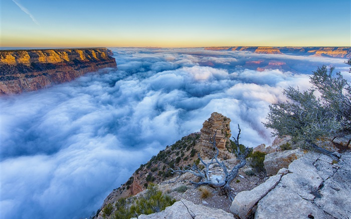 Arizona, USA, Grand Canyon, Morgen, Sonnenaufgang, Nebel, Wolken Hintergrundbilder Bilder