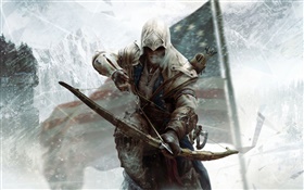 Assassins Creed 3 PC-Spiel HD Hintergrundbilder