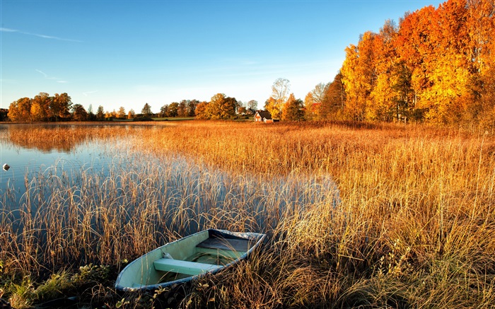 Herbst, See, Gras, Boot, Bäume, Haus Hintergrundbilder Bilder