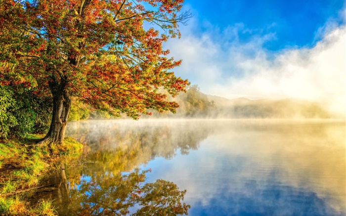 Herbstlandschaft, See, Nebel, Wald Hintergrundbilder Bilder