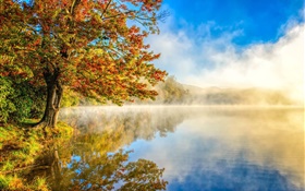 Herbstlandschaft, See, Nebel, Wald HD Hintergrundbilder