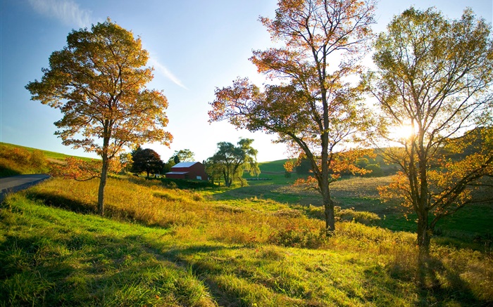 Herbst, Bäume, Gras, Sonnenstrahlen, Haus Hintergrundbilder Bilder