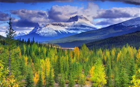 Banff Nationalpark, Alberta, Kanada, Berge, Himmel, Wald, Bäume HD Hintergrundbilder