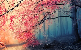 Schöne Herbstlandschaft, Bäume, rote Blätter