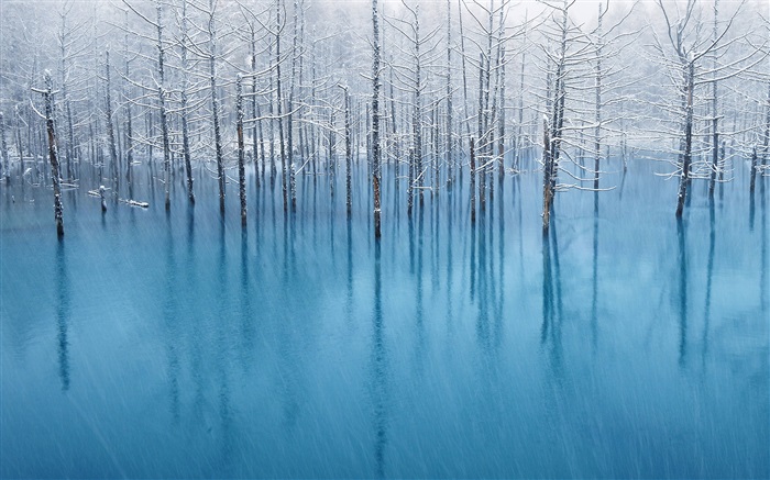 Blauen Teich, Bäume Hintergrundbilder Bilder