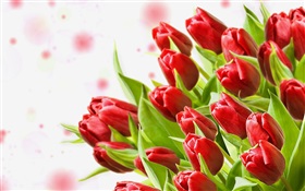 Strauß Blumen, rote Tulpen