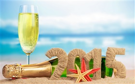 Champagner, Seesterne, Sand, 2015 HD Hintergrundbilder