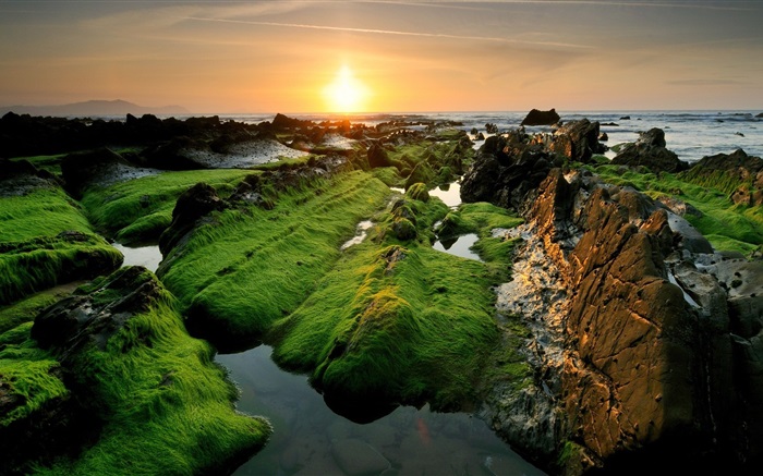 Coast schönen Sonnenuntergang, Moos Hintergrundbilder Bilder