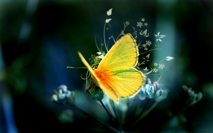 kreatives Design, gelbe Schmetterling Hintergrundbilder Bilder