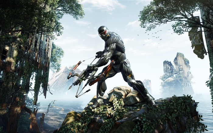 Crysis 3 PC-Spiel Hintergrundbilder Bilder