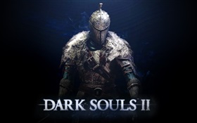 Dark Souls 2 PC-Spiel HD Hintergrundbilder