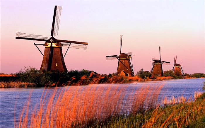Niederländische Landschaft, Windmühlen, Fluss, Abend Hintergrundbilder Bilder