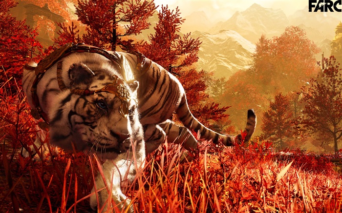 Far Cry 4, weiße Tiger Hintergrundbilder Bilder