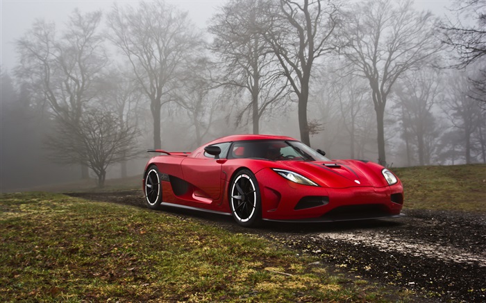 Koenigsegg roten Supersportwagen in den Wald Hintergrundbilder Bilder
