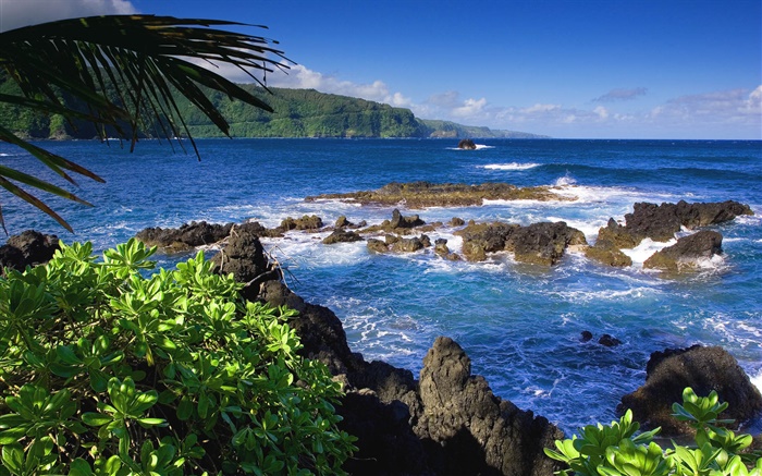 Maui, Hawaii, USA, Meer Hintergrundbilder Bilder