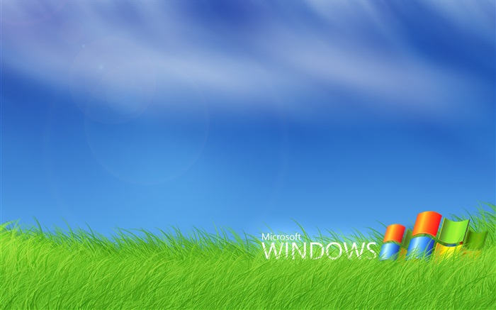 Microsoft Windows-Logo in das Gras Hintergrundbilder Bilder
