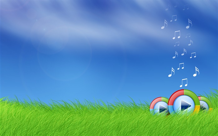 Microsoft Windows Media Play-Logo im Gras Hintergrundbilder Bilder