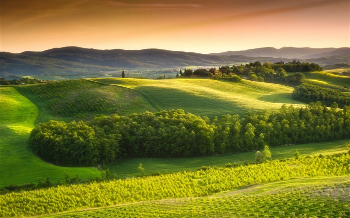Morgen, Natur, Landschaft, Felder, Nebel, Italien Hintergrundbilder Bilder