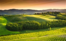 Morgen, Natur, Landschaft, Felder, Nebel, Italien HD Hintergrundbilder