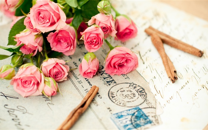 Rosa Rose Blumen, Brief Hintergrundbilder Bilder