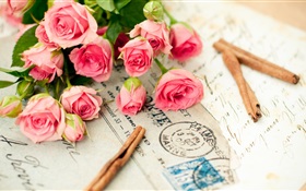 Rosa Rose Blumen, Brief HD Hintergrundbilder
