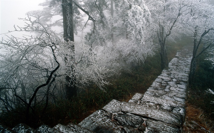 Reif Landschaft, Bäume, Winter, Schnee, Landschaft China Hintergrundbilder Bilder