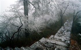 Reif Landschaft, Bäume, Winter, Schnee, Landschaft China