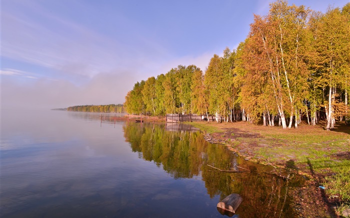Russland, Baikal, Bäume Hintergrundbilder Bilder