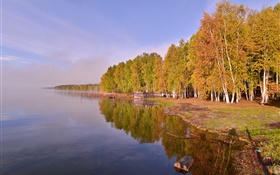 Russland, Baikal, Bäume HD Hintergrundbilder