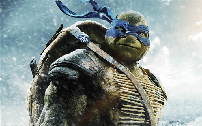 Teenage Mutant Ninja Turtles, Leo Hintergrundbilder Bilder