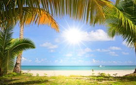 Tropischer Strand, Sonne, Palmen HD Hintergrundbilder