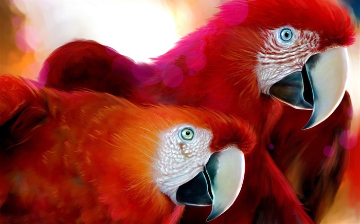 Zwei rote Federn Papagei Hintergrundbilder Bilder