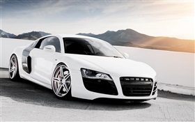 Weiß Audi R8 V10 supercar HD Hintergrundbilder