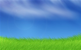 Windows-Bilder, Gras, blauer Himmel HD Hintergrundbilder
