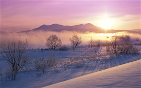 Wintermorgen, Schnee, Bäume, Nebel, Sonnenaufgang