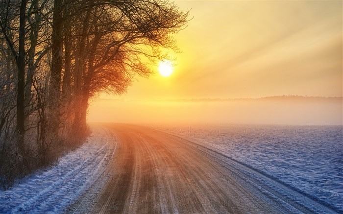 Winter Sonnenaufgang, Straße, Nebel, Bäume Hintergrundbilder Bilder
