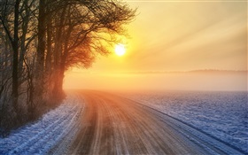 Winter Sonnenaufgang, Straße, Nebel, Bäume HD Hintergrundbilder