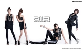 2NE1, koreanische Musik Mädchen 03 HD Hintergrundbilder