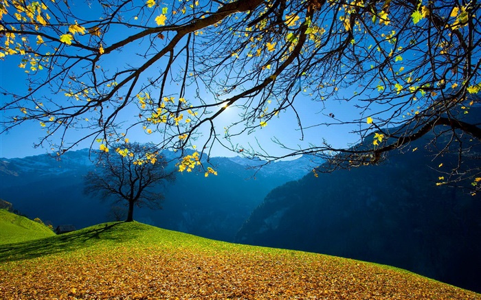 Herbst, Bäume, Berge, blauer Himmel, Sonnenstrahlen Hintergrundbilder Bilder