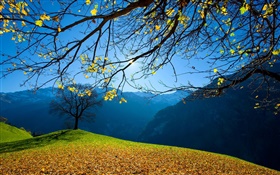 Herbst, Bäume, Berge, blauer Himmel, Sonnenstrahlen