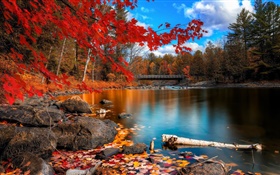 Herbst, Bäume, Fluss, Brücke HD Hintergrundbilder
