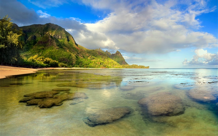 Strand, Korallenriffe, Unterwasser, Kauai, Hawaii- Hintergrundbilder Bilder