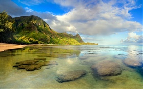 Strand, Korallenriffe, Unterwasser, Kauai, Hawaii- HD Hintergrundbilder