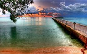 Strand, Meer, Pier, baum, wolken, sonnenuntergang HD Hintergrundbilder