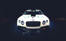 Bentley Continental GT3 Concept car front view HD Hintergrundbilder