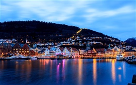 Bergen, Norwegen, stadt, nacht, Häuser, Meer, Schiff, Lichter