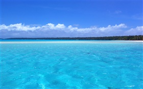 Blaue Küste Landschaft, Palmen, Strand HD Hintergrundbilder
