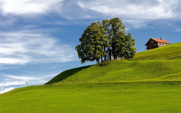 Blauer Himmel, Gras, Baum, Haus, Hügel, Einsiedeln, Schwyz, Schweiz Hintergrundbilder Bilder