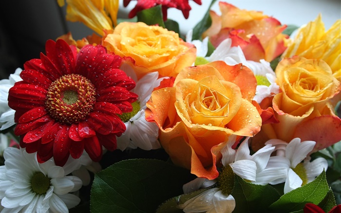 Blumensträuße, Rosen und Chrysanthemen Hintergrundbilder Bilder